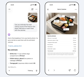 Muse Spark utiliza un modelo multidonal, pues no solo interpreta texto, también imágenes.