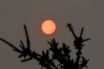 Vista del sol teñido de