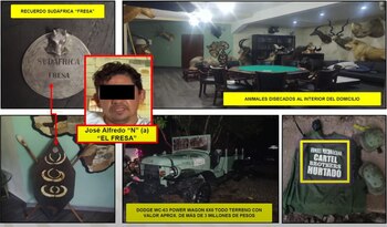 En el interior de los