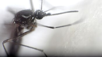 Después del mes de julio,