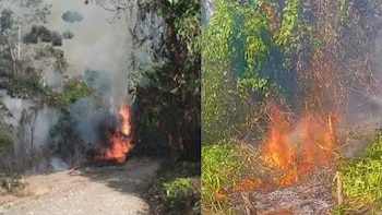 Incendios forestales en Junín arrasan más de 250 hectáreas de bosque y amenazan viviendas y cultivos de comunidades asháninkas