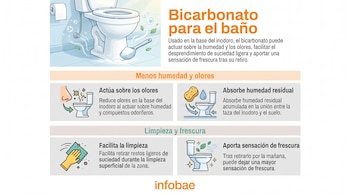 Infografía con ilustraciones de un inodoro, una cuchara con bicarbonato e iconos sobre control de olores, humedad y limpieza.