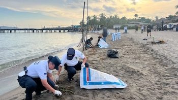 Retiran toneladas de sargazo de las playas de Tela en una jornada para proteger el turismo en Honduras previo al feriado morazánico