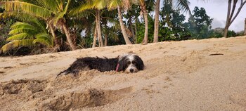 Lula, una gran compañera de