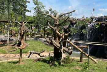 El nuevo espacio simula el