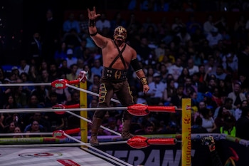 (CMLL / Diego Cedrix)