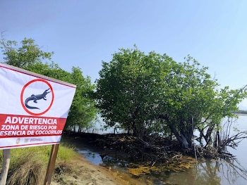 FB: Secretaría de Medio Ambiente y Recursos Naturales de Guerrero