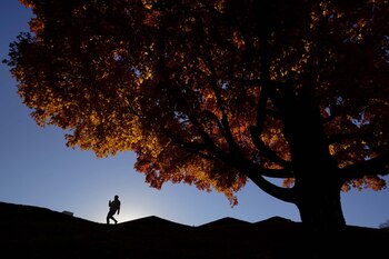 Un hombre sale de votar