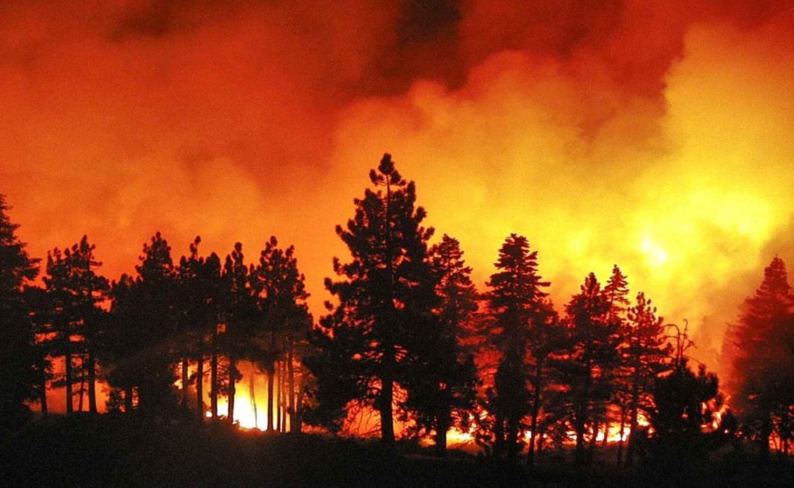 La inteligencia artificial detecta el 51% de los incendios de California antes de la primera llamada al 911 (UC San Diego)