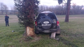 Vista trasera de una SUV Ford EcoSport negra chocada contra el tronco de un árbol, con el tubo de escape desprendido y un policía de pie en el fondo