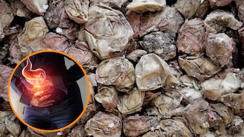 Este es el alimento prehispánico