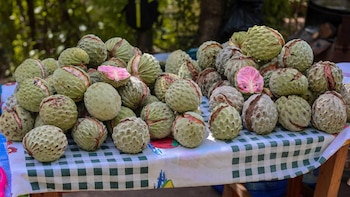 En fotos: Distrito salvadoreño seduce el paladar de locales y turistas con el auténtico sabor de la anona