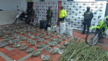 Entre tomates, delincuentes tenían un