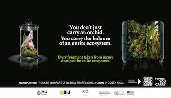 La campaña #WhatYouCarry invita a turistas y nacionales a llevarse recuerdos y experiencias, pero no elementos de la biodiversidad costarricense. (Cortesía)