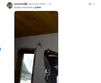 memes eliminación barcelona vs atlético