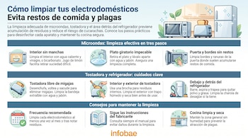 Infografía sobre cómo limpiar electrodomésticos: microondas, tostadora y refrigerador, con ilustraciones de cada paso y consejos generales.
