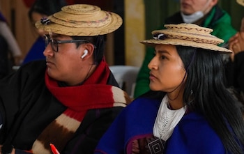 La cartera aseguró que se