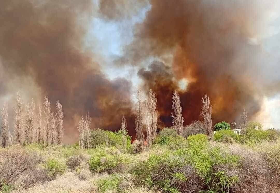 El incendio comenzó al lado del puente de la Banda en Chaupihuasi y avanzó sobre plantas autóctonas (Foto: Nueva Rioja)
