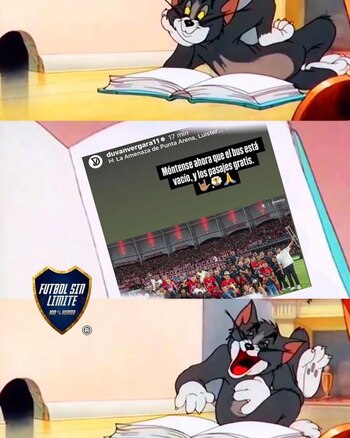 Los escarlatas son fuente de