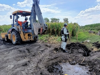 Según documentos filtrados de la