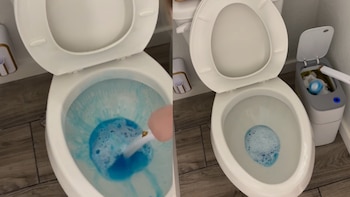 cepillo del inodoro - baño - innovación - tecnología - 28 de abril