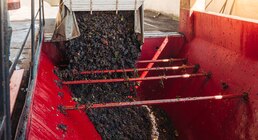 La cadena del vino suma eficiencia: traslados internos sin certificados en papel