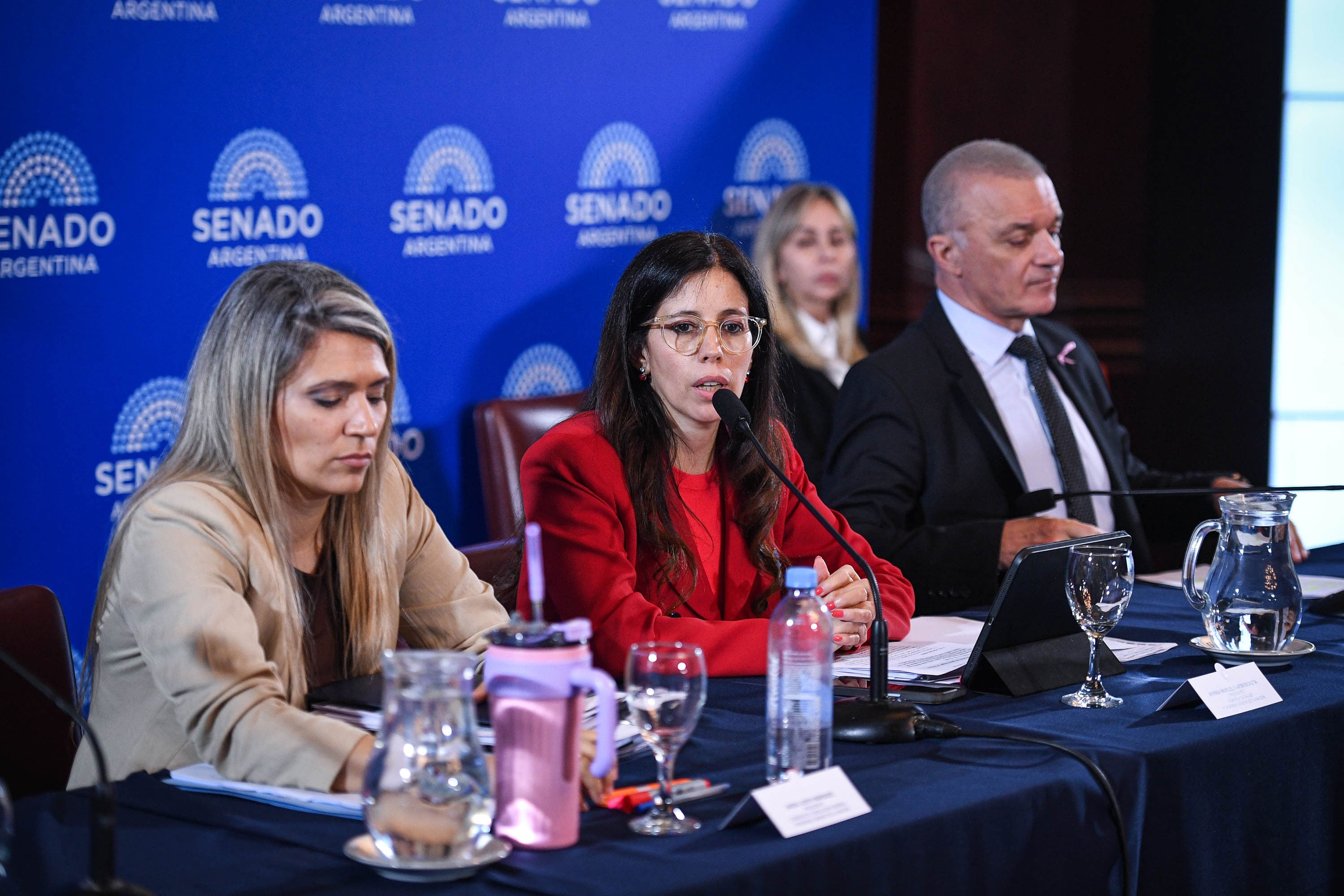 Las legisladoras libertarias y titulares de las comisiones de Salud; y de Legislación General de la Cámara alta, Ivanna Arrascaeta y Nadia Márquez, respectivamente (Fotos: Prensa Senado)