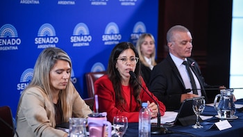 Senado: se demoran las firmas para dictaminar la ley de salud mental y hay disidencias de los aliados
