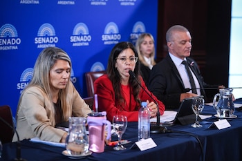 Reunión plenaria de las comisiones de Relaciones Exteriores y Culto y de Industria y Comercio