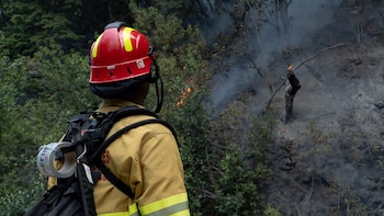 Incendio en el Parque Nacional