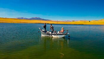 Entre los máximos atractivos de