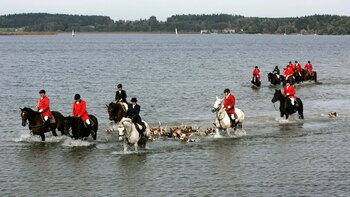 El Parlamento británico prohíbe la