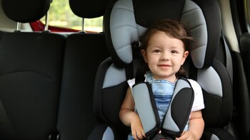 Cómo tienen que viajar en