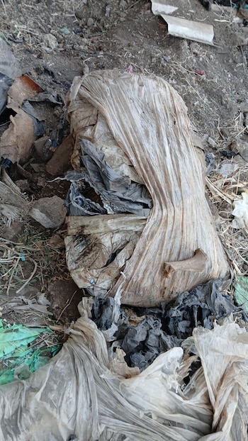 Parte do que foi encontrado no cemitério secreto de El Salto, Jalisco. (X/@CeciPatriciaF)