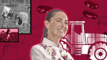 Se enfoca en fortalecer el