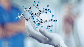 Para el futuro, los investigadores