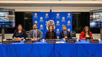 Los expertos de la OEA