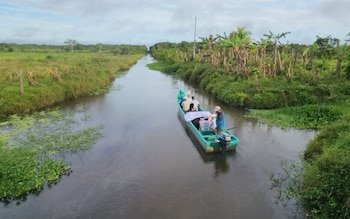 Las cifras del Plan Regional