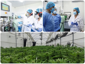 ICA otorga primer registro para