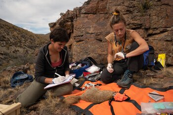 La Unión Internacional para la