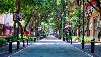 Tranvía turístico llegará a Zona Rosa durante el Mundial 2026: ¿Qué lugares visitará?