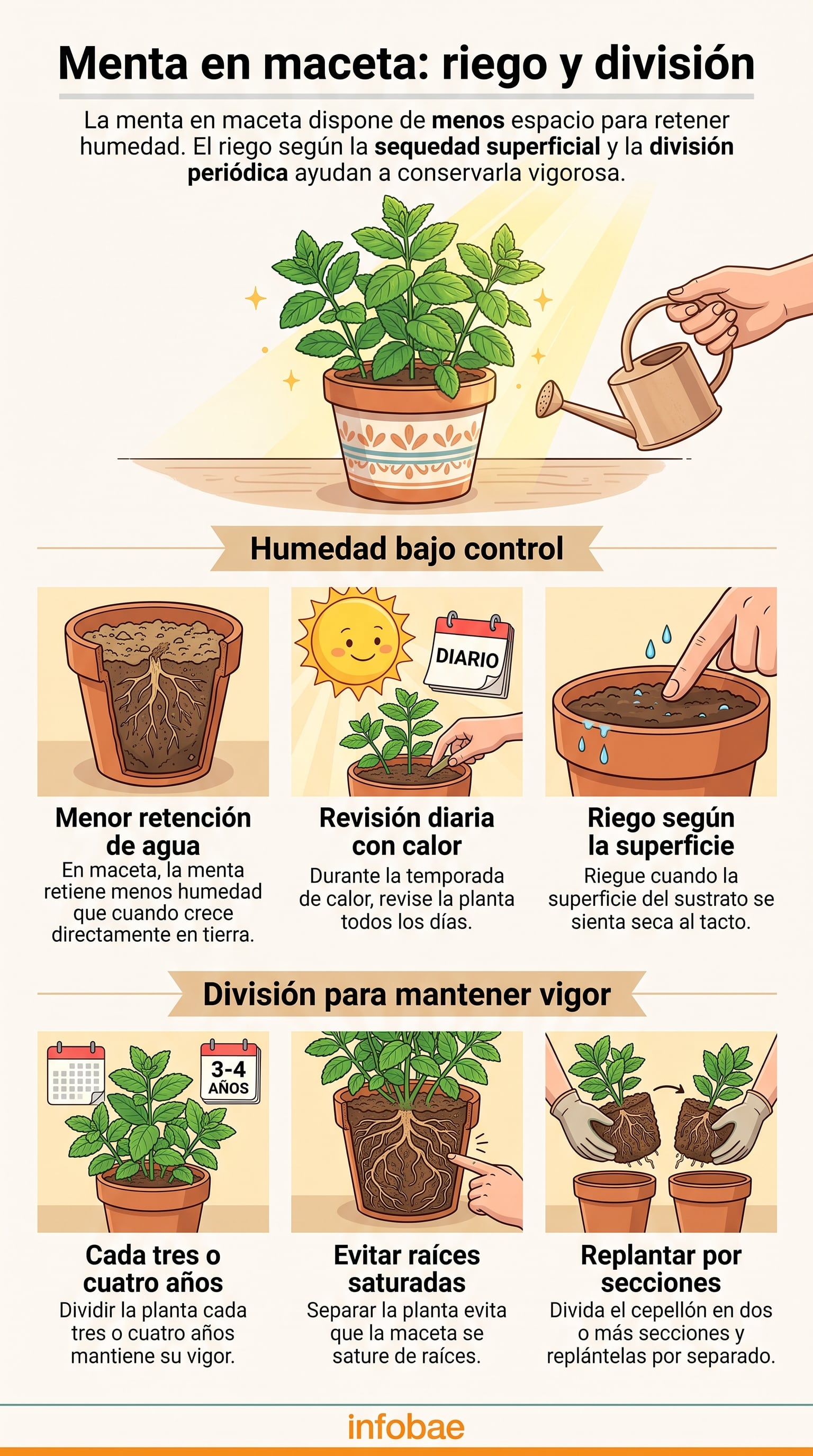 La menta cortada se conserva fresca hasta por una semana en un vaso con agua dentro del refrigerador. (Imagen Ilustrativa Infobae)
