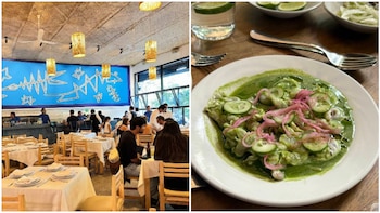 Te dejamos algunas recoemdnaciones para