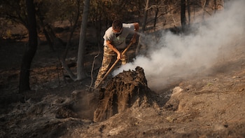 Las temperaturas extremas de la cuarta ola de calor y el viento ponen en jaque las labores de extinción: “El peligro de incendios será extremo”