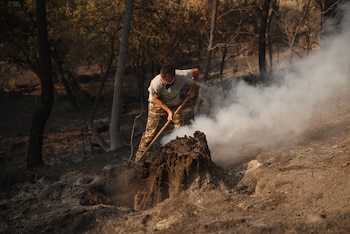 Una hombre trata de apagar lo que queda de fuego en el incendio forestal a las afueras de Casavieja. (Alejandro Martínez Vélez/Europa Press)