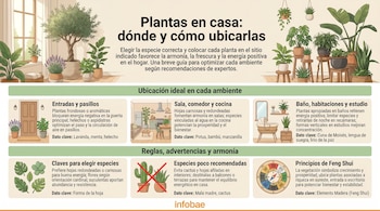 Infografía ilustrada sobre plantas de interior en casa. Muestra plantas en varias estancias, reglas de selección, especies a evitar, y un diagrama de Feng Shui.