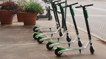 Cuatro monopatines eléctricos blancos y verdes alineados sobre una acera de concreto junto a macetas con plantas y una calle adoquinada