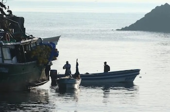 La entrada de mar provocó afectaciones en viviendas ubicadas cerca de la costa en el sector de Isla Cañas./ (La Estrella Panamá)