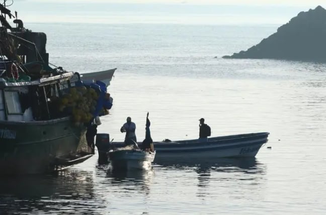 La entrada de mar provocó afectaciones en viviendas ubicadas cerca de la costa en el sector de Isla Cañas./ (La Estrella Panamá)