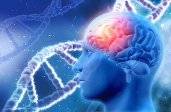 Los mecanismos epigenéticos actúan como